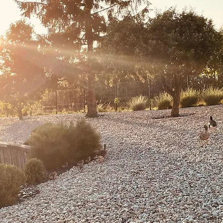 Eden Aux Hirondelles Samer