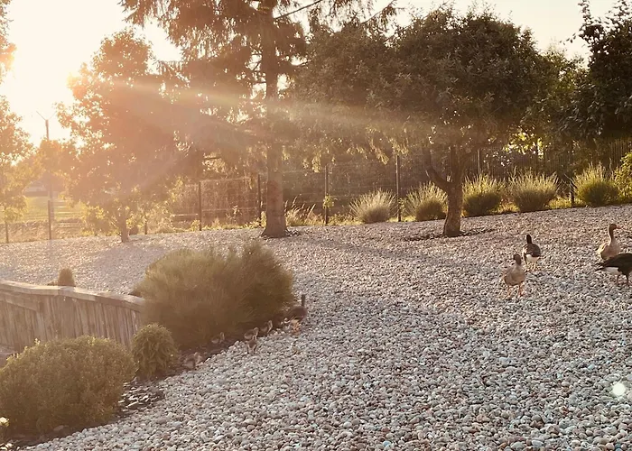 Eden Aux Hirondelles Samer